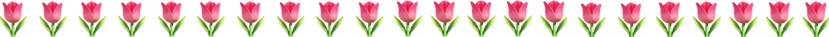 Dekolinie aus Tulpen